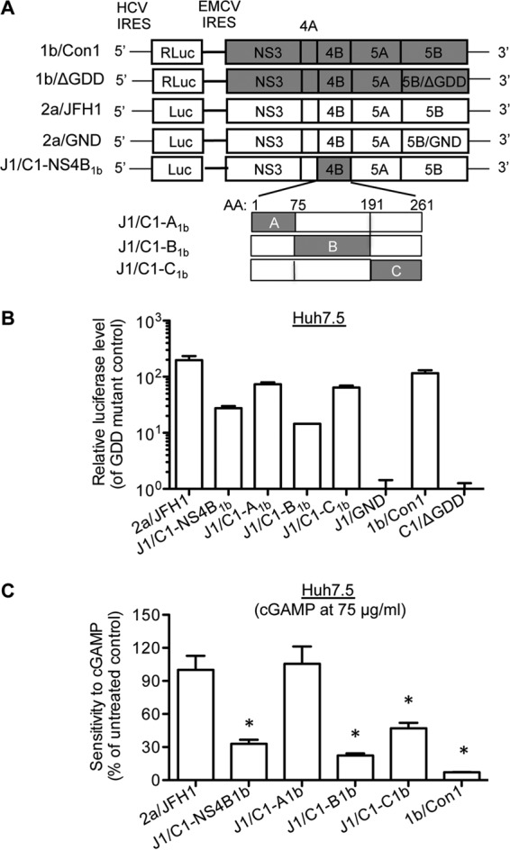 FIG 6