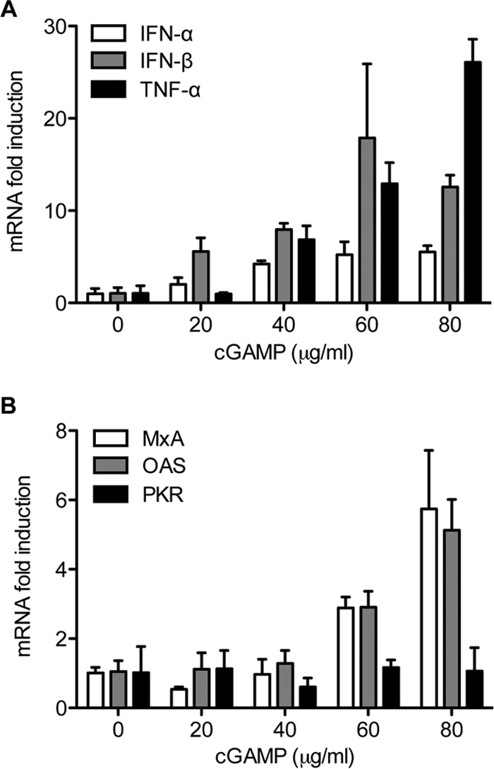 FIG 3