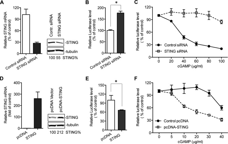 FIG 2