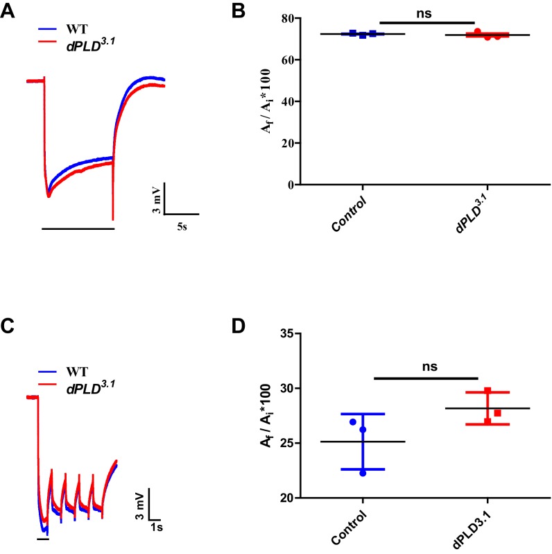 Figure 2—figure supplement 3.