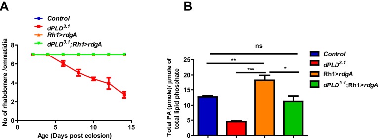 Figure 4—figure supplement 1.