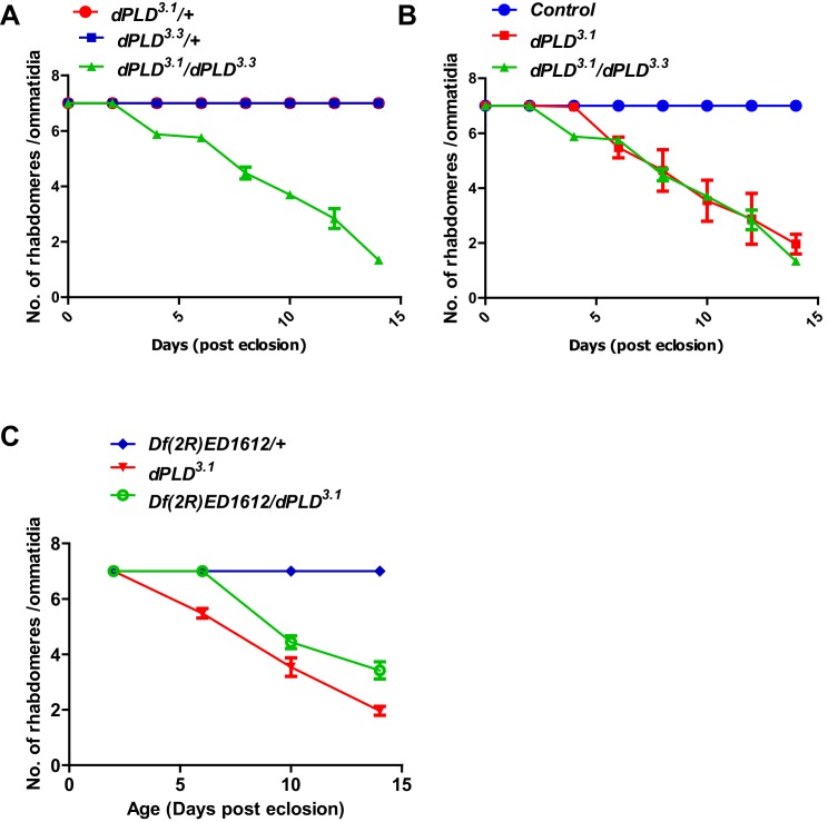 Figure 3—figure supplement 1.