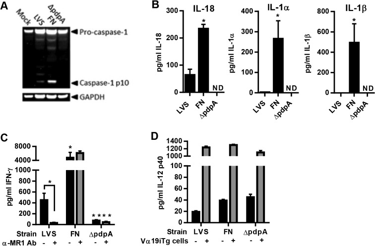 FIG 2