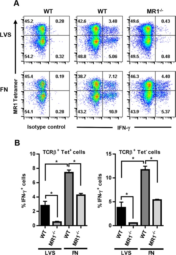 FIG 3