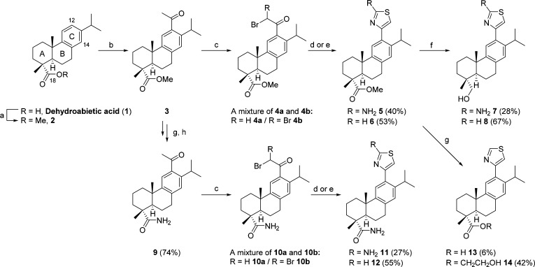 Scheme 1