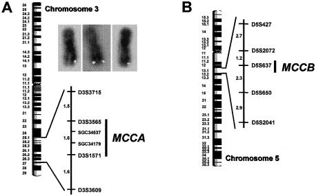 Figure  2