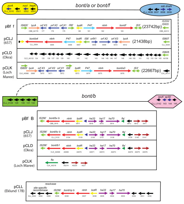 Figure 10