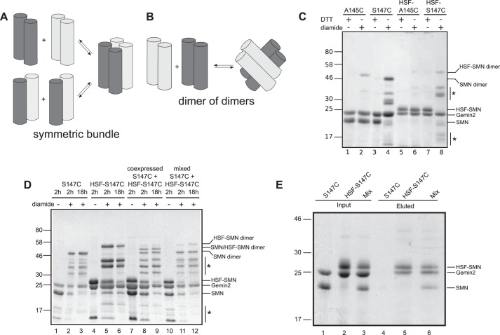 FIGURE 10.