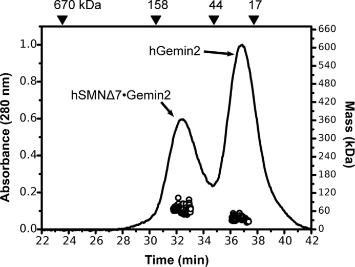 FIGURE 5.