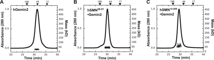 FIGURE 2.