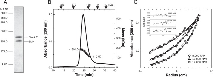 FIGURE 6.