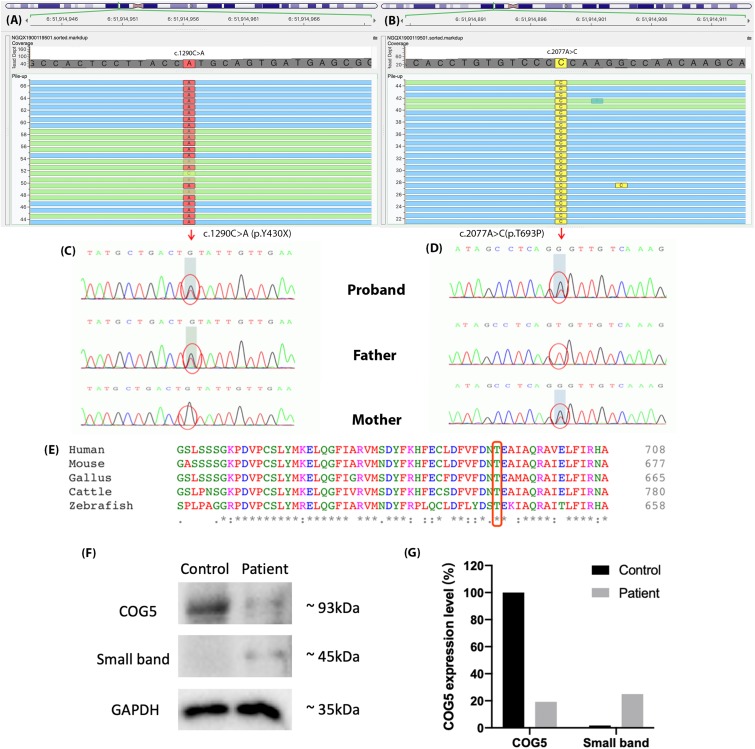 FIGURE 3