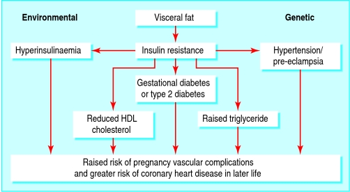 graphic file with name obese10.f2.jpg