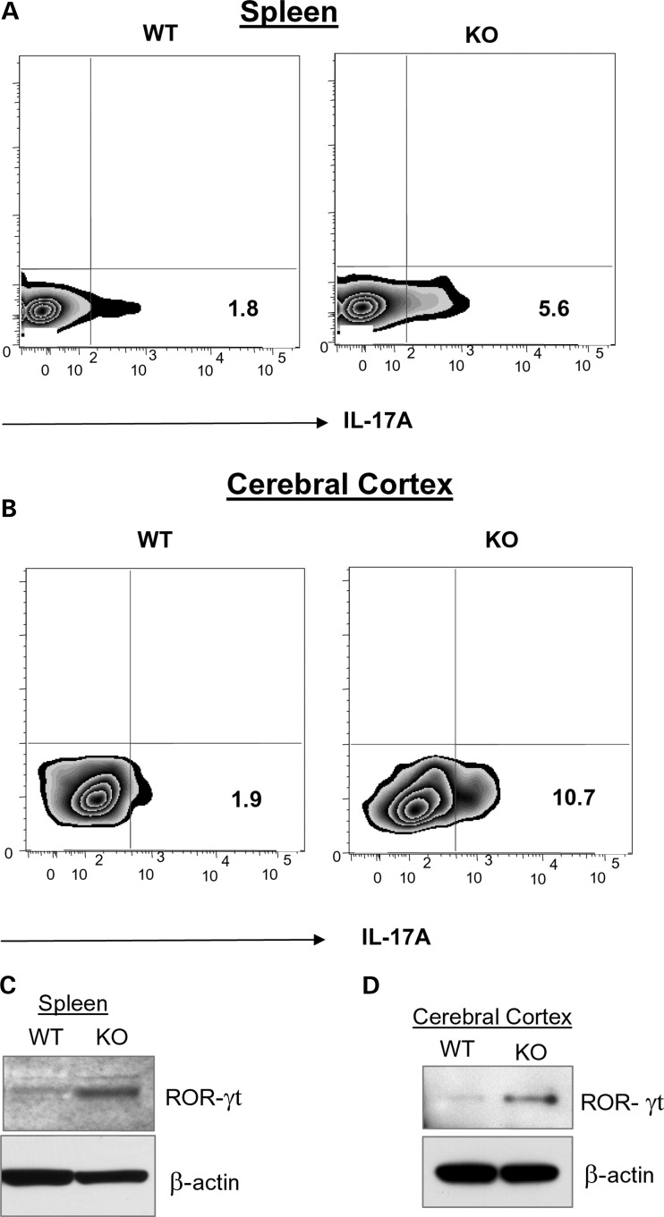 Figure 2.