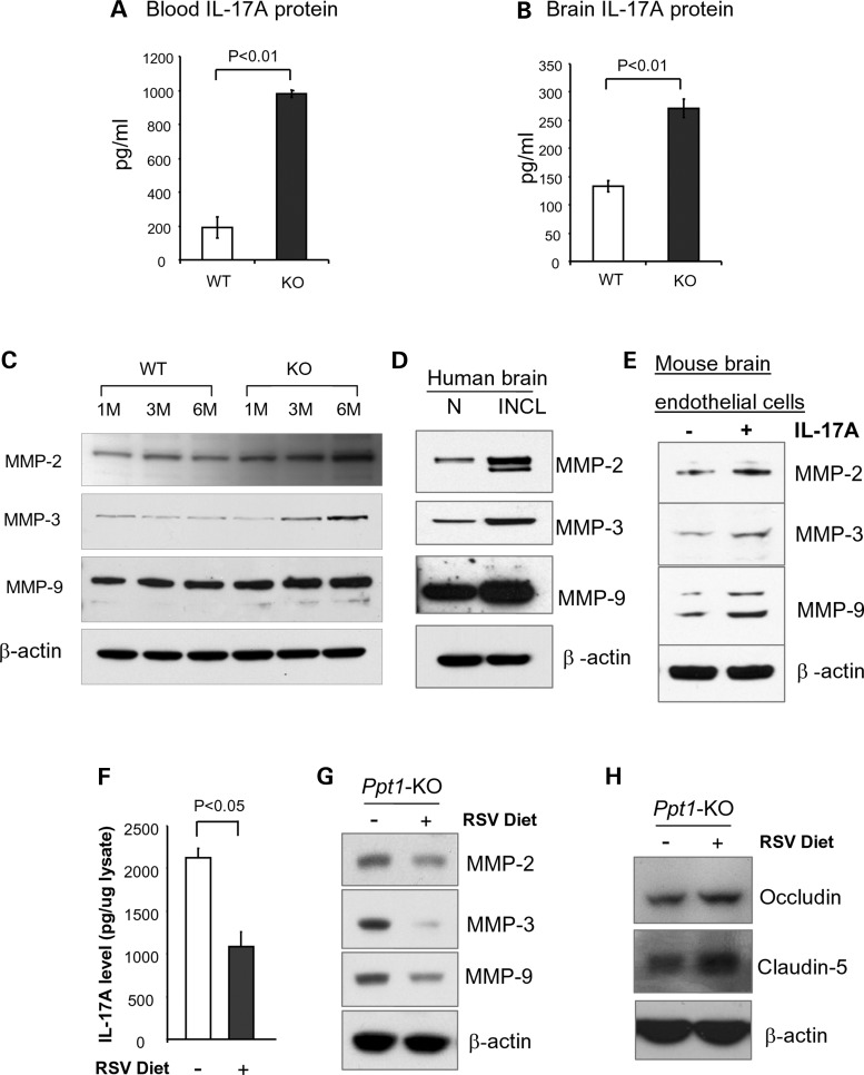 Figure 3.