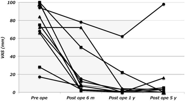 Fig. 5