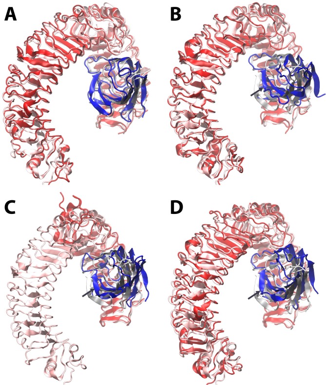 Figure 2—figure supplement 3.