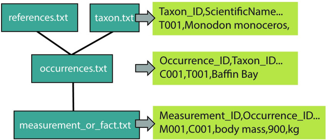 Fig 4