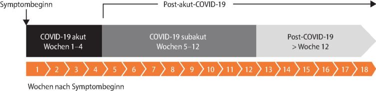 graphic file with name 11298_2021_2196_Fig2_HTML.jpg