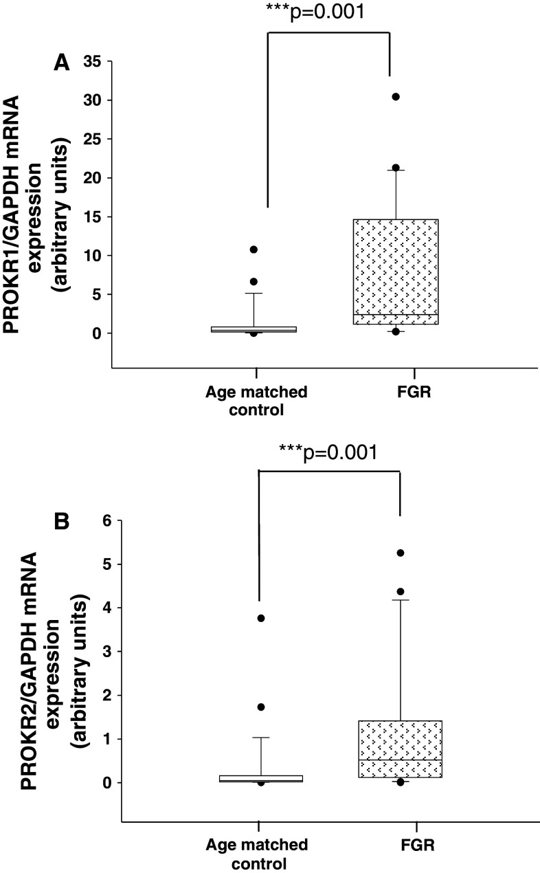 Fig. 7