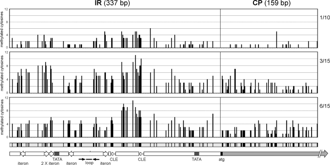 FIG. 5.