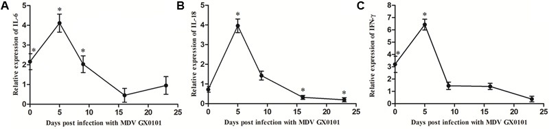 FIGURE 4