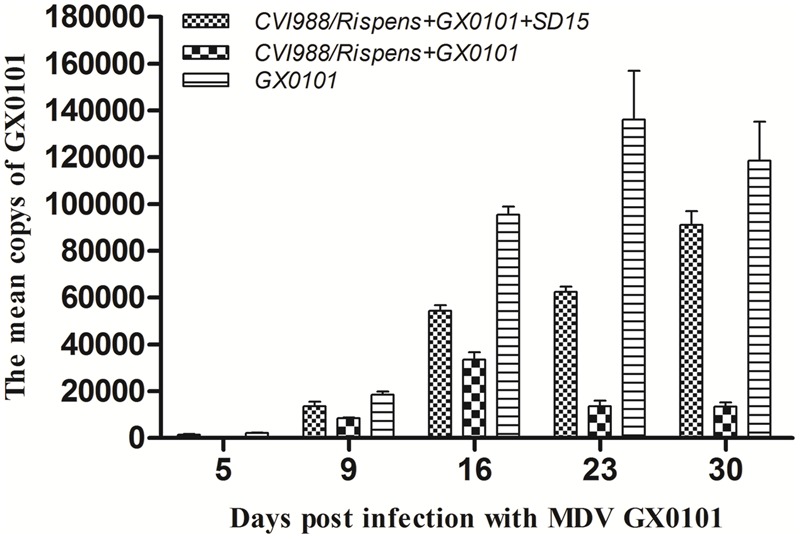 FIGURE 3