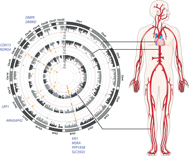 Figure 3.