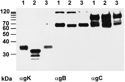 FIG. 8