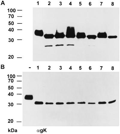 FIG. 9