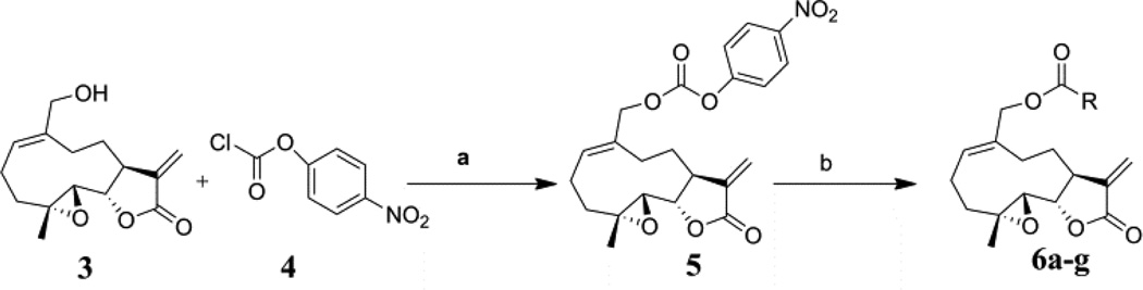 Scheme 1