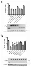 Extended Data Fig. 5