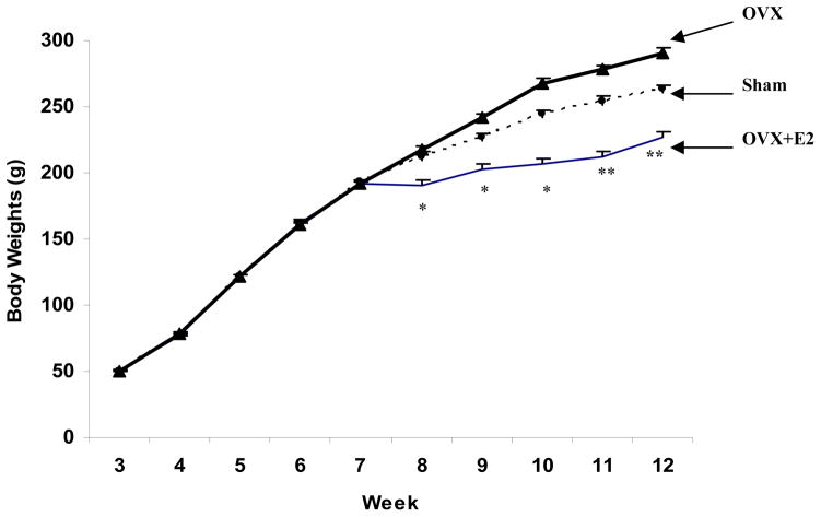 Fig.1