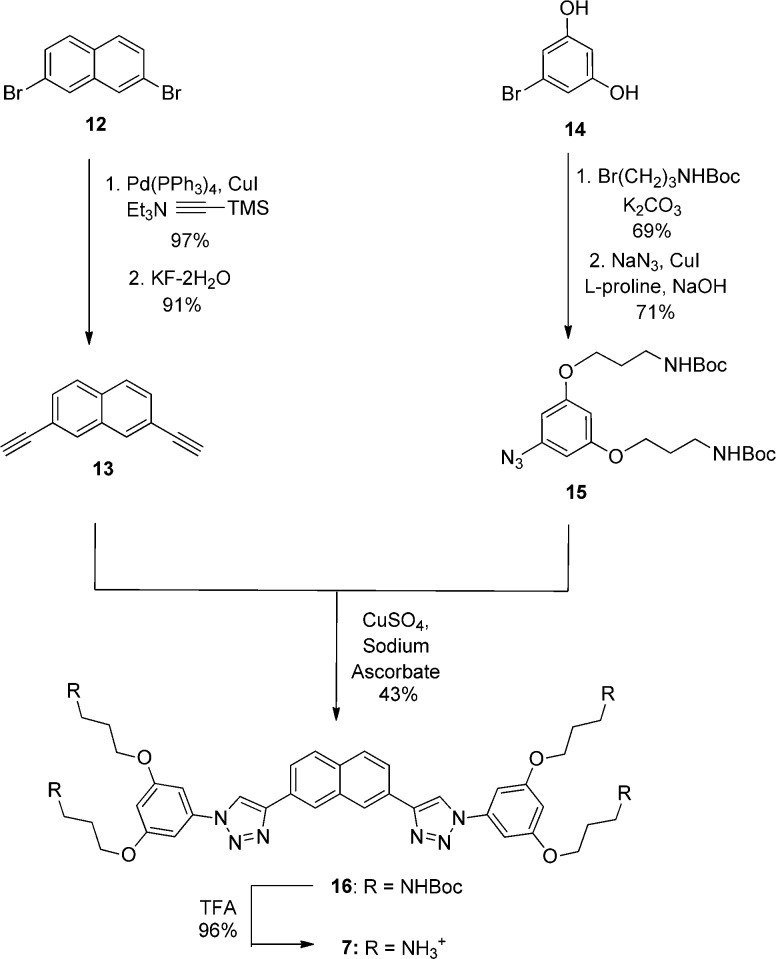 Scheme 2