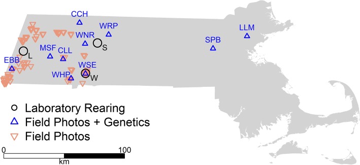 Fig. 6