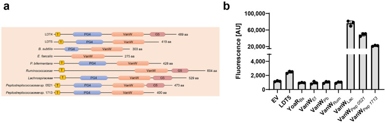 Fig. 6: