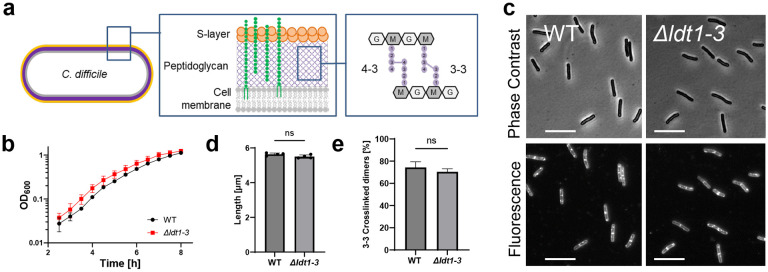 Fig 1.