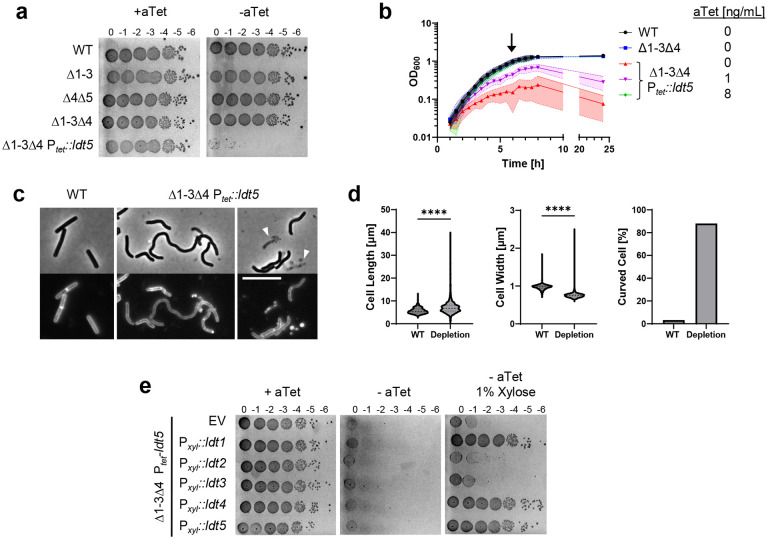 Fig. 4.