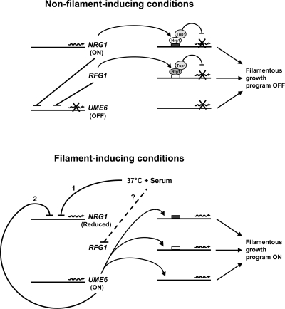 Figure 9.