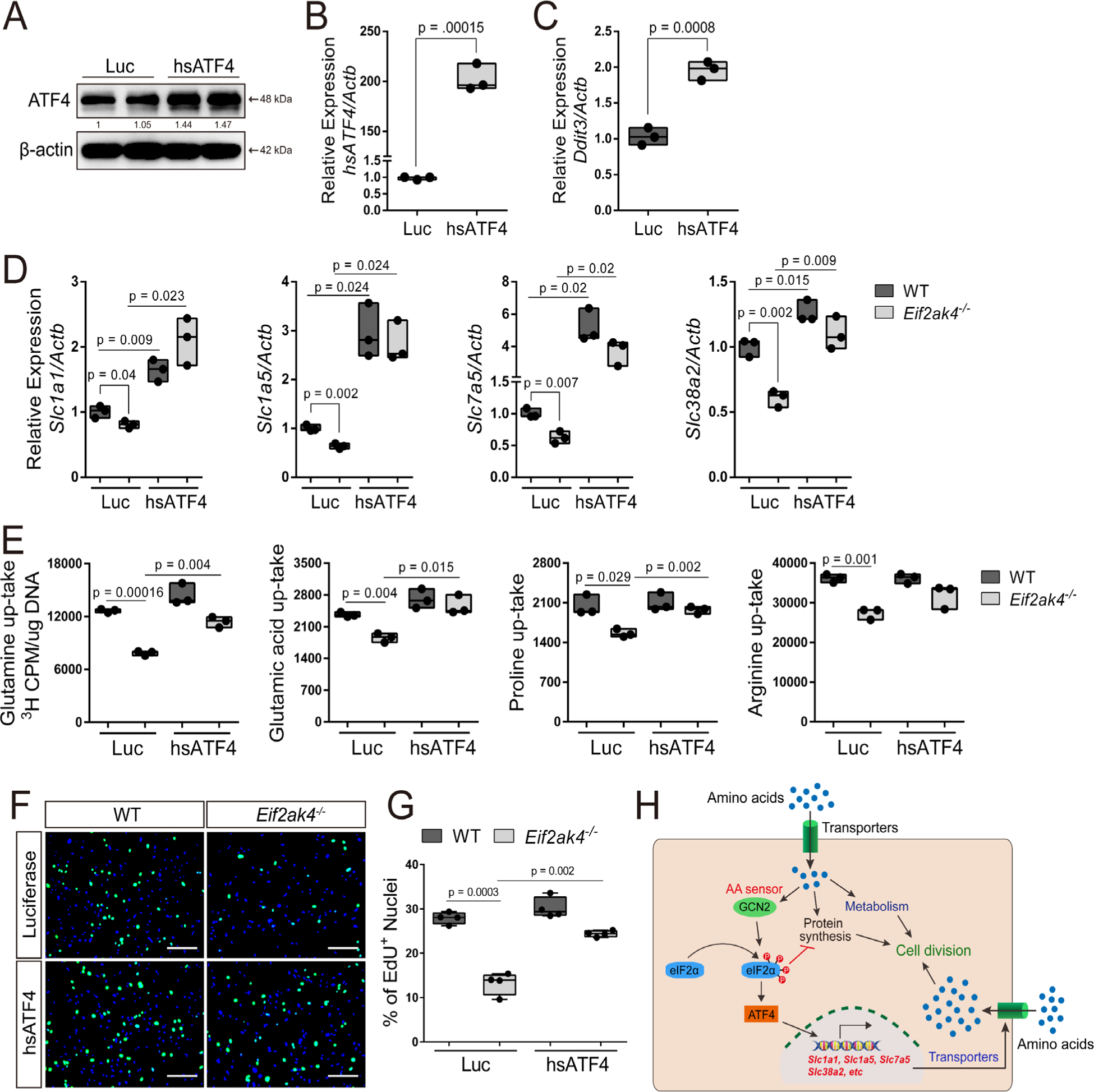 Fig 6