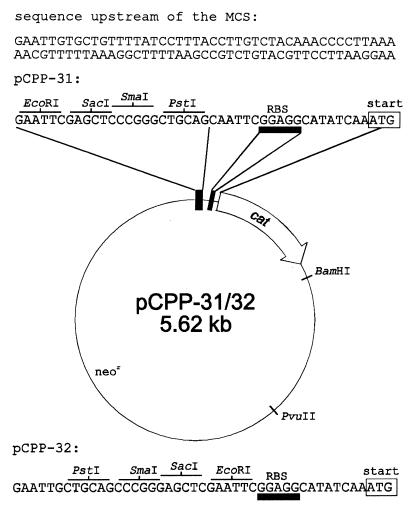 FIG. 6