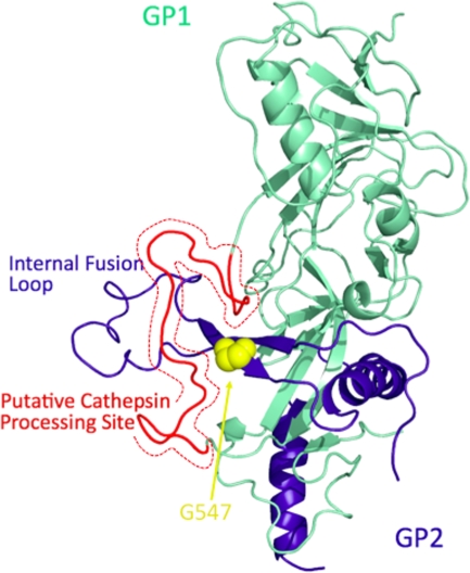 FIG. 5.