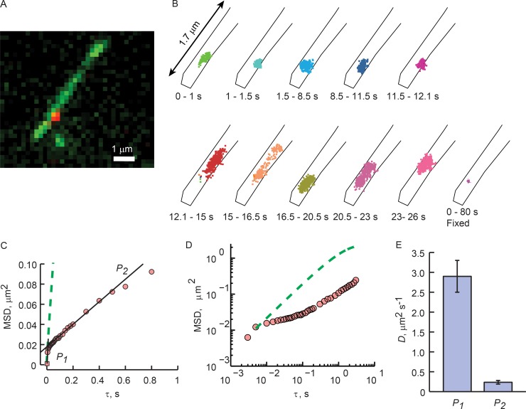 Figure 3.