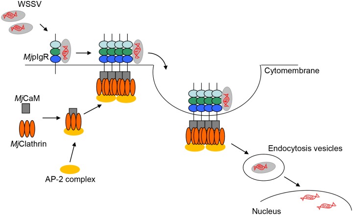 Fig 10