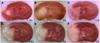 Fig.1