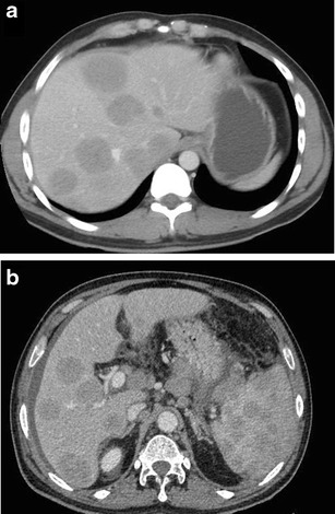 Fig. 8