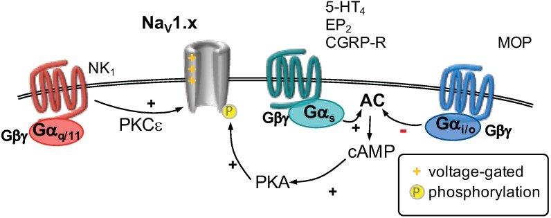 Figure 5