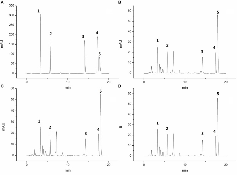 FIGURE 1