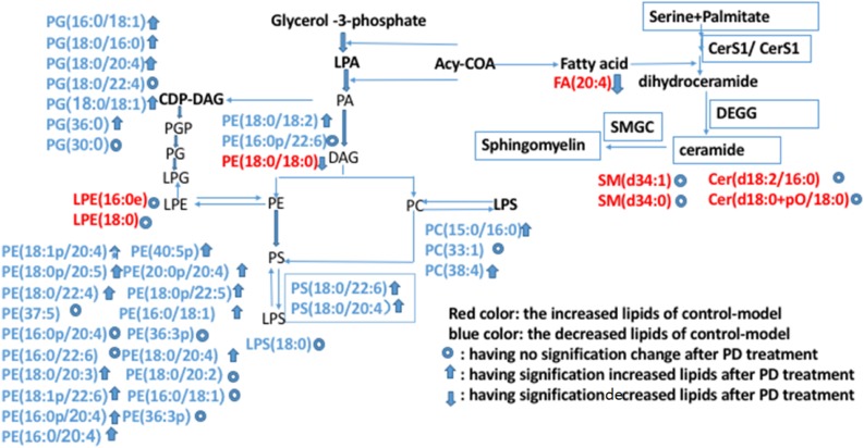 FIGURE 13