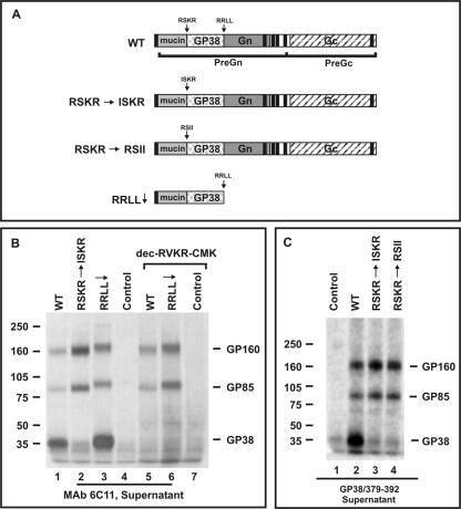 FIG. 5.